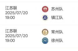 爱游戏体育平台-“苏超”e起拍｜人与城，燃情“苏超”