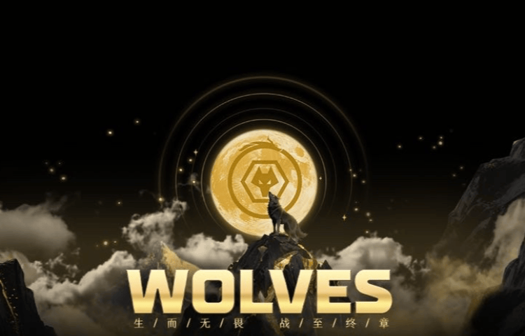 “渝超”璧山狼队真与“十冠王”重庆狼队有关？璧山文旅：我们深度合作